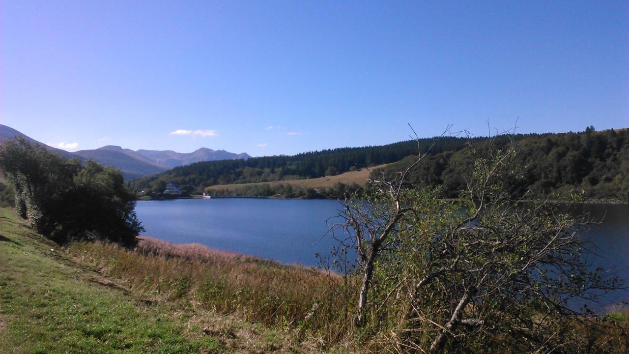Iris, Gite Saint Antoine, Orcival, Entre Sancy Et Volcans D'Auvergne Exterior foto