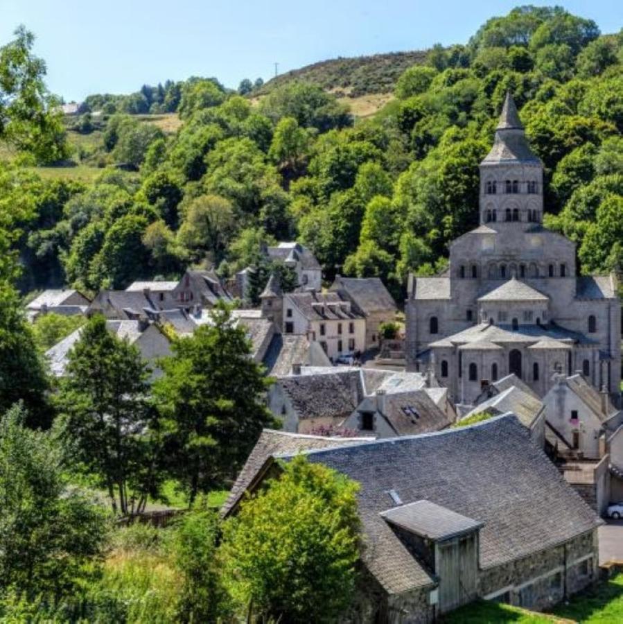Iris, Gite Saint Antoine, Orcival, Entre Sancy Et Volcans D'Auvergne Exterior foto